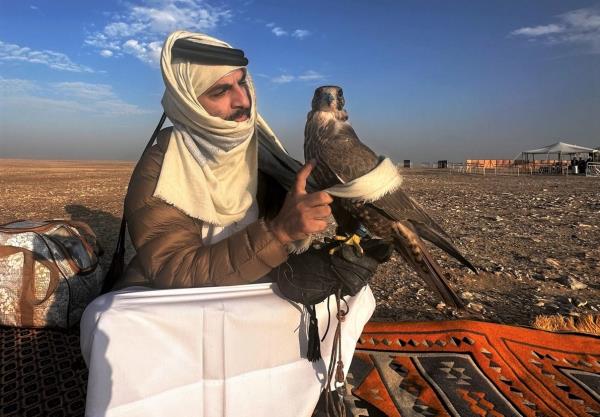 第14届卡塔尔国际猎鹰和狩猎节(Marmi 2023)拉开序幕